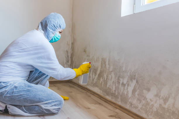 Mold inspector in Flanders performing thermal imaging